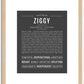 Ziggy | Name Art Print