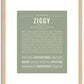 Ziggy | Name Art Print