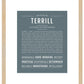 Terrill | Name Art Print